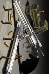 game pic for Cool Guns Linking